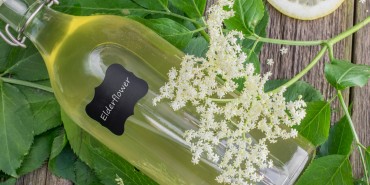 夏だけのお楽しみ。植物の力で生まれる「エルダーフラワーソーダ」
