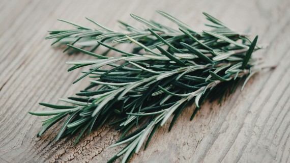 作ったものはお持ち帰り出来ます